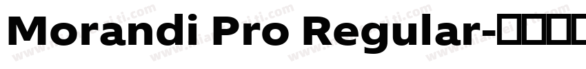 Morandi Pro Regular字体转换